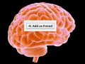 Addasfriend