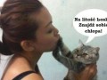 Do dziewczyn z kotami