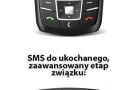 Etapy zwiazku
