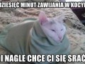 Za każdym razem 1