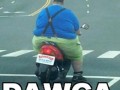 Dawca organów
