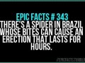 Epic facts 1