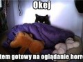 Okej