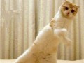 Zumba