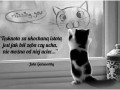 Jak ból