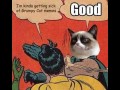 Robin amp grumpy cat