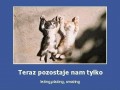Co nam zostało