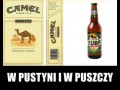 Klasyka literatury polskiej