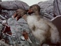 Epic fight