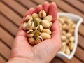 Pistacje