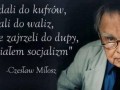 Nie zajrzeli tam