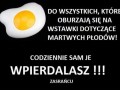 Martwe płody