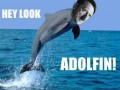 Delfin