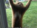 Iz no time