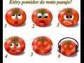 Pomidorki