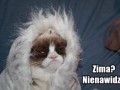 Zimo wyp