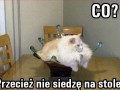 Siedzę na stole