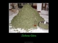 Zielona gora