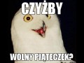 Dzień nauczyciela