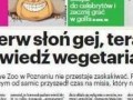 No najgorzej