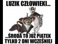 Kochajmy środy