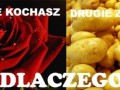 Daj swojej kobiecie ziemniaki