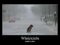 Właścicielu