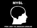 Myśl
