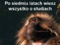 Po siedmiu latach
