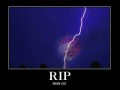 Rip nyan cat