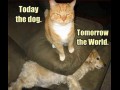 Today  tomorrow