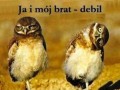 Ja i moj brat debil