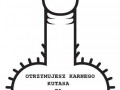 Chujowekodowanie