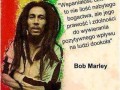 Bob mrly