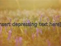 Insert text