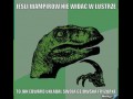 Tajemnica lasu o
