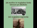 Kiedy próbujesz tańczyć