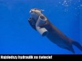 Najlepszy hydraulik na świecie