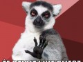 Lemur wie lepiej