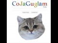 Nowe google