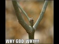 Why god