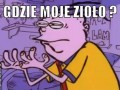 Ziolo