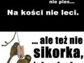 Facet nie sikorka