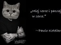 Miej serce i paczaj w serce