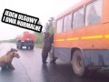 Jeden ulgowy i dwa normalne