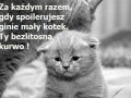 Zawsze 