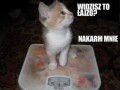 Nakarm