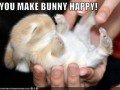 Happy bunny
