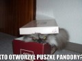 Ktoś otworzył
