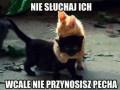 Rzuć im się do krtani przestaną tak mówić
